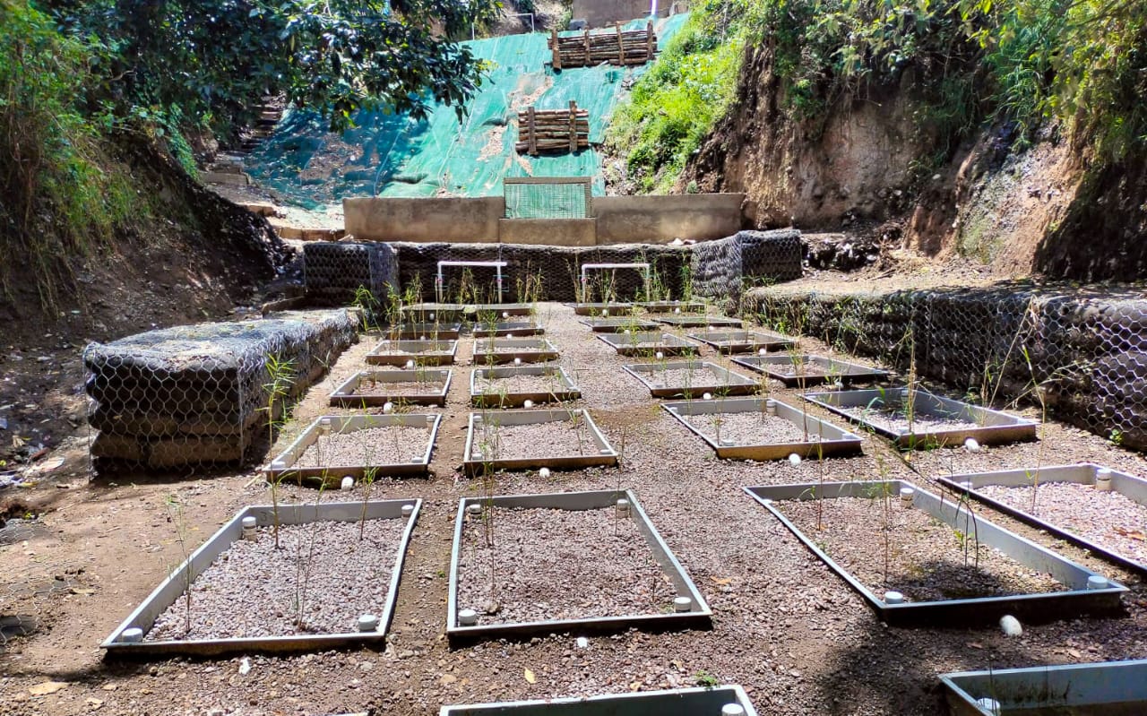 Trabajo de campo en área natural